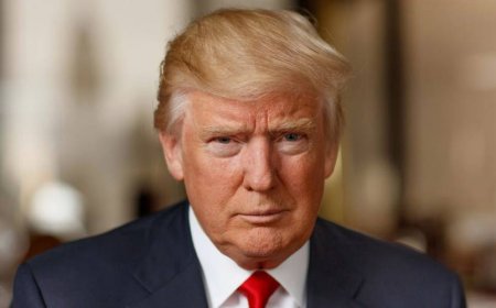 Trump Shartify Trust Ranking